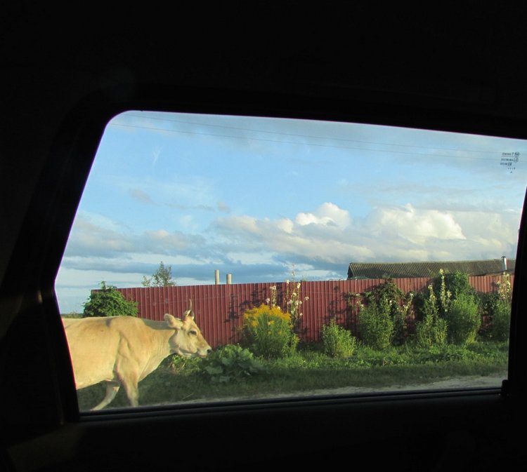 Путешествие в Нижегородскую область - часть 2 - Размещение в деревушке и прогулка по окресностям (фото 2)