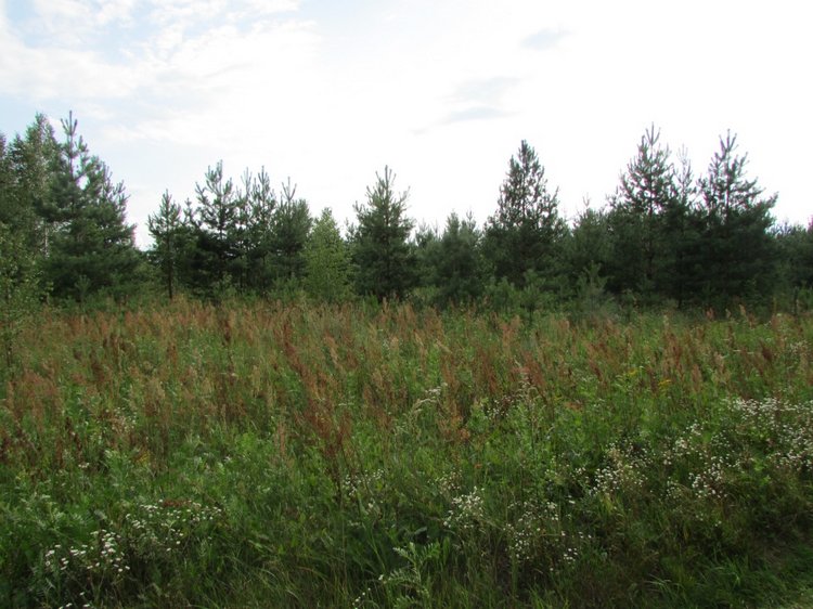 Путешествие в Нижегородскую область - часть 2 - Размещение в деревушке и прогулка по окресностям