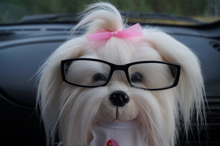 На какие подвиги толкают нас куклохотелки