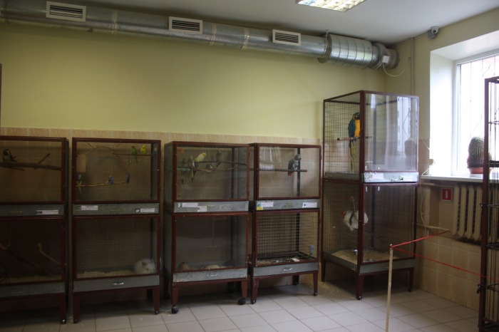 Псков. Эколого-биологический центр. Часть 2 (фото 6)