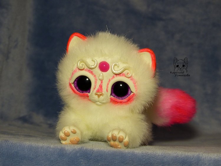 Королевские волшебные коты, породы: Мирис. В кадре и за кадром. Процесс