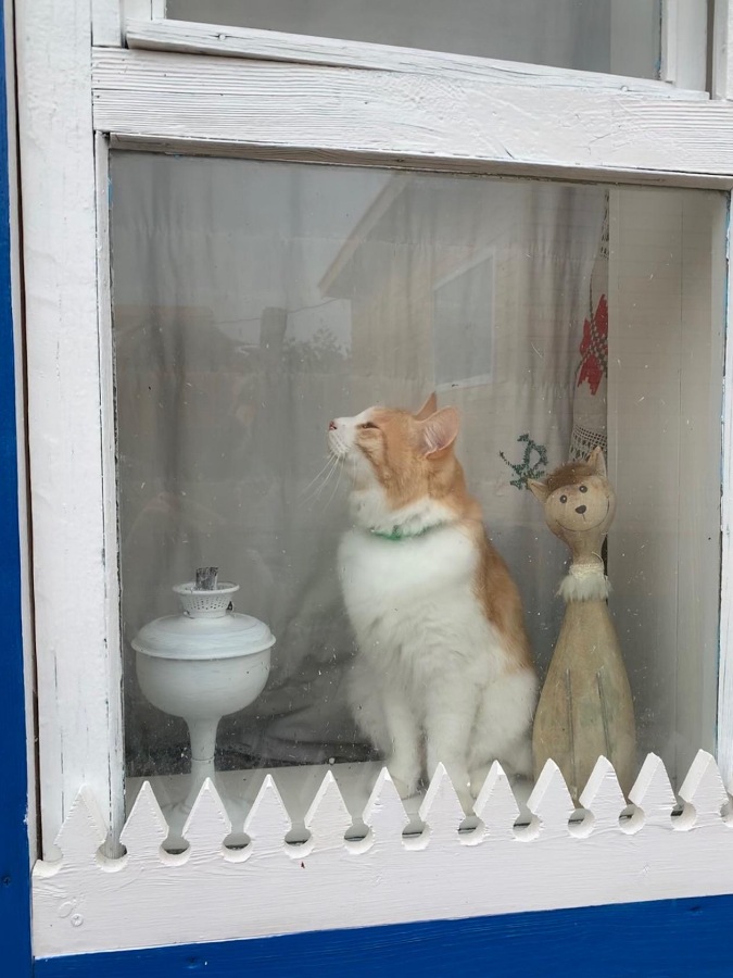 Лето - это маленькая жизнь