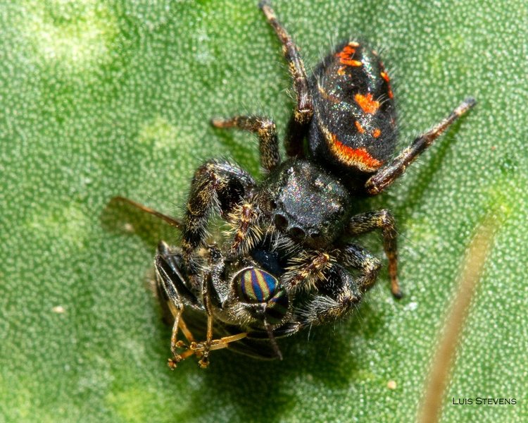 Любителям природы - профессиональные фотографии (выпуск 4)