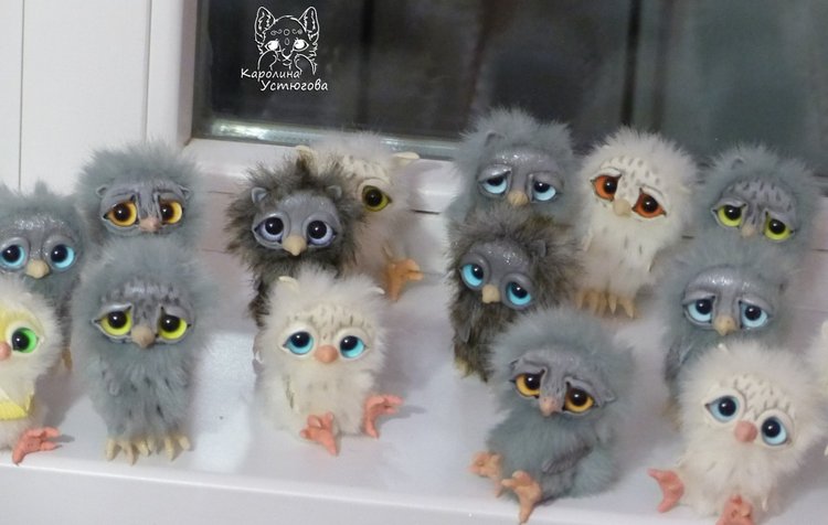 Совята в ожидании Новогодних праздников