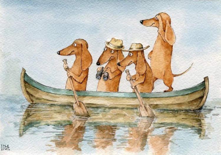 Предновогодние денёчки! Улыбнёмся вместе! Смешные таксы Инги smG