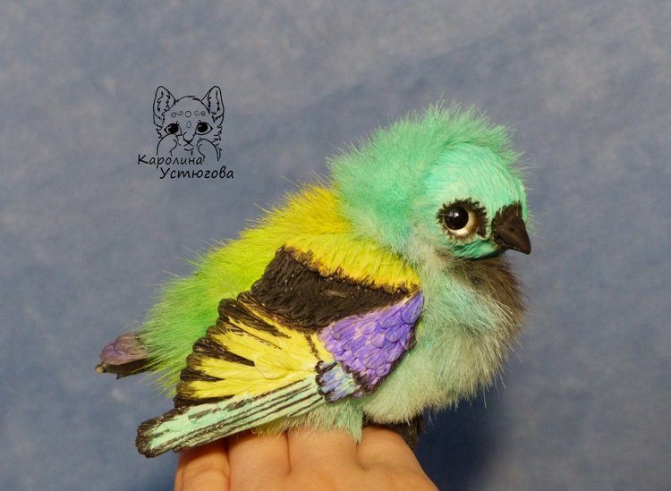 Зеленоголовая танагра, чудо птичка (фото 4)