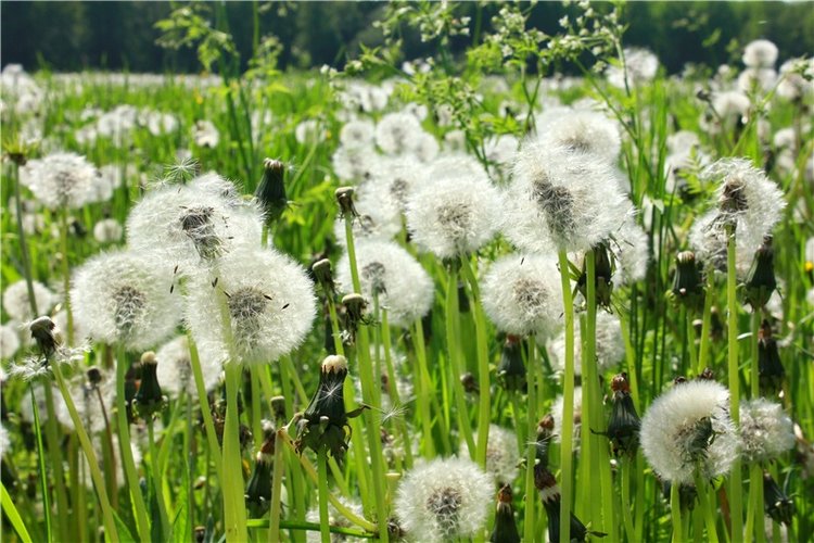 Из Чукавино в Старицу — Культура (фото 3)