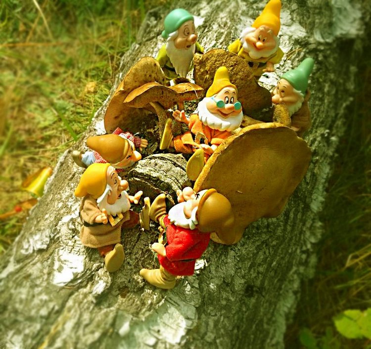 Осеннею порой под старою сосной... Принц, Белоснежка и гномы... встречаются