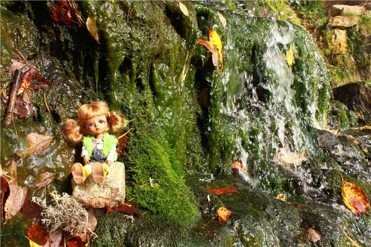 "Бабье Лето" на Водопаде, продолжение