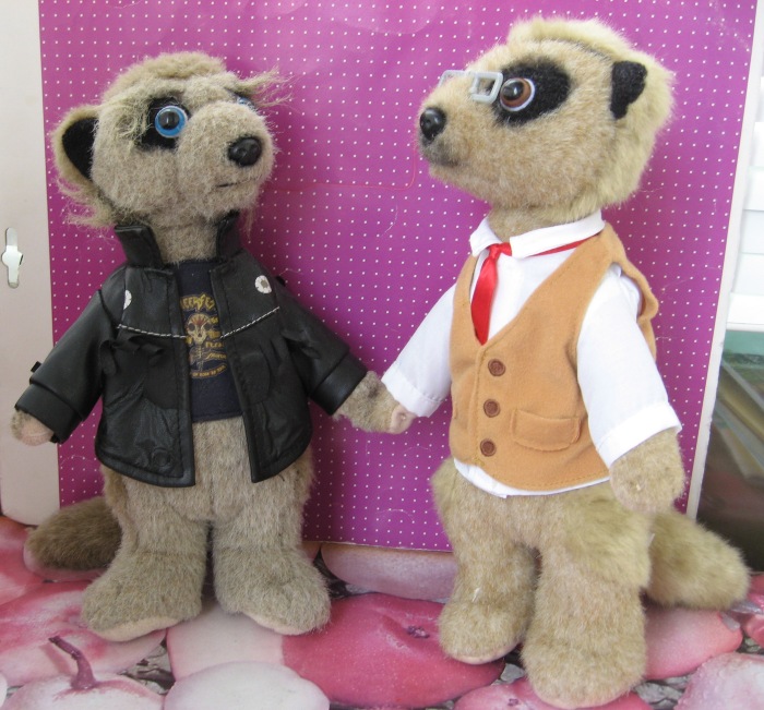 Британские сурикаты с русскими корнями (фото 3)