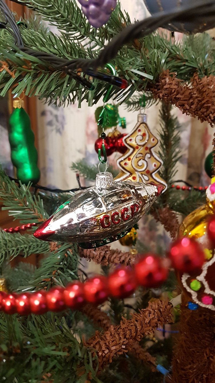 В степи родилась ёлочка, в жару она росла