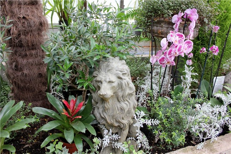 Тверской Ботанический Сад, продолжение | Бэйбики Тверской Ботанический Сад, продолжение