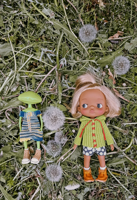 Holala Pipita Peter — Куклы Holala (Холала) от Jenny Fairytown: Pipita (фото 8)