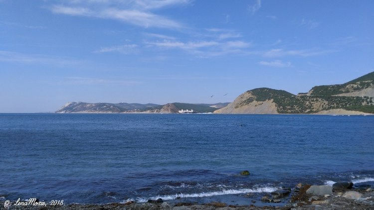 Kidz' тур. Юлино лето — Куклы Kidz'n'Cats (Соня Хартман): шарнирные 46 см (фото 7)