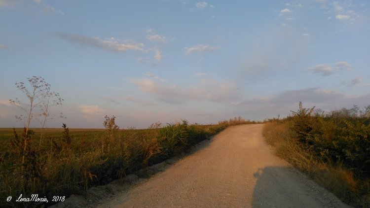 Kidz' тур. Юлино лето — Куклы Kidz'n'Cats (Соня Хартман): шарнирные 46 см