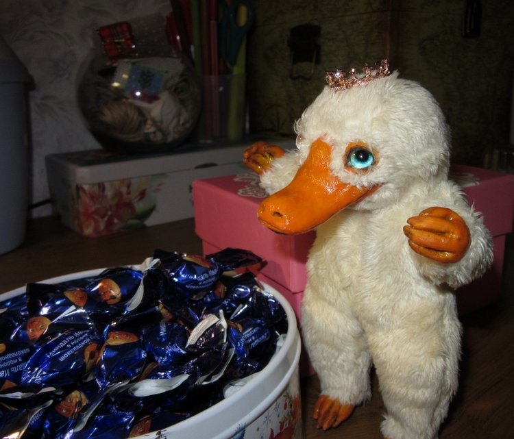 Фантастическая наглость фантастического нюхлера (фото 10)