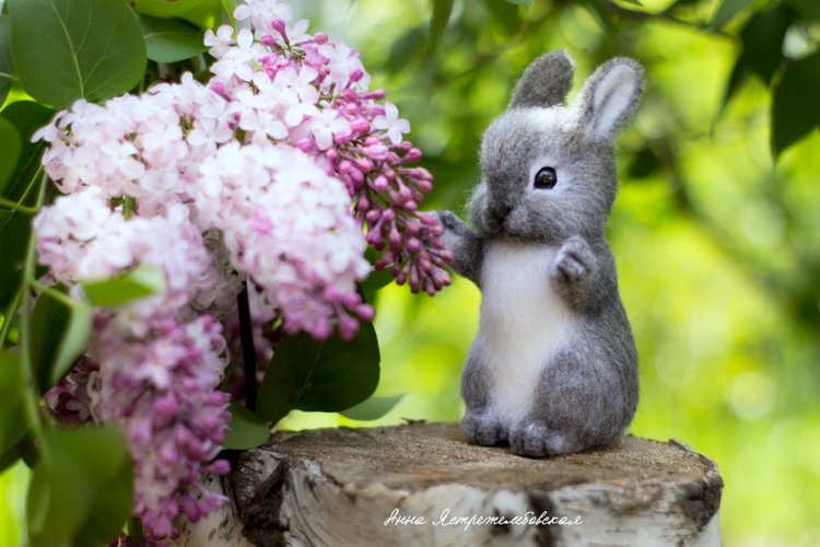 Заинька — Валяные игрушки из шерсти: сухое валяние (фото 3)