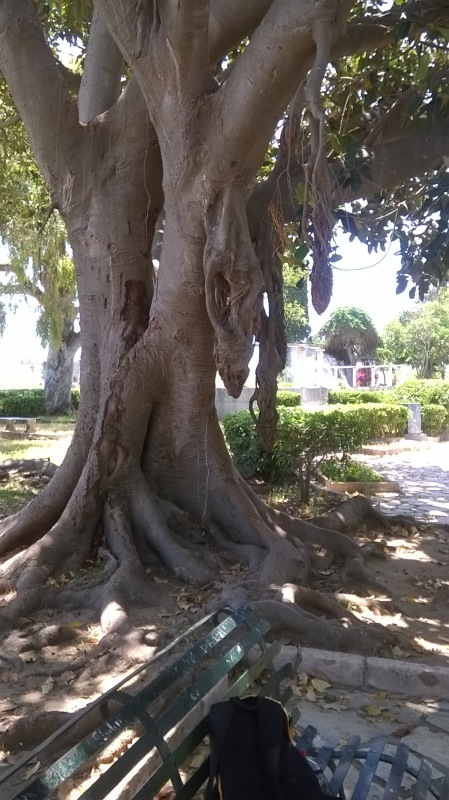 Керкира – город на изумрудном острове. (часть вторая)