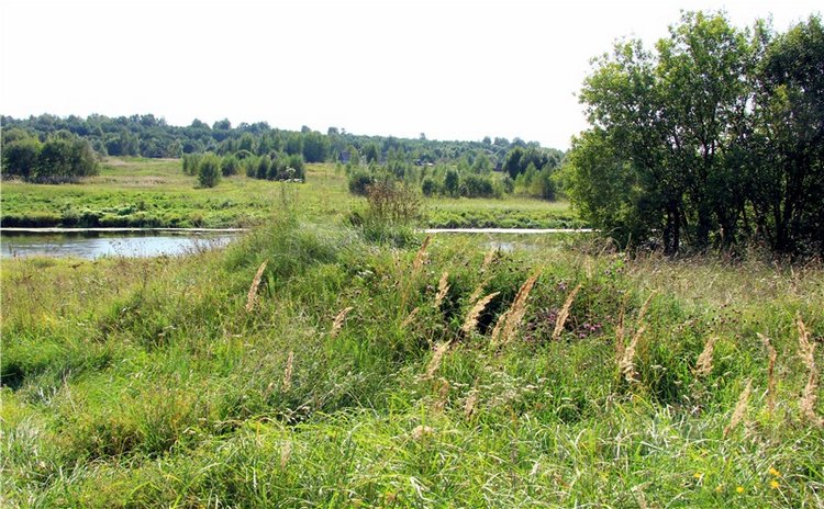 Инопланетянка Нийя. Custom Blythe Doll UFO Go Go Takara