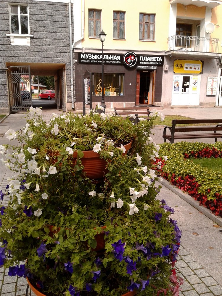 Последний месяц лета. Мой Псков. Аурика