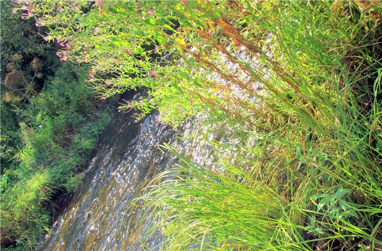 Старицкая Швейцария. Путешествие Мии. Minifee Miyu FairlyLand | Бэйбики Старицкая Швейцария. Путешествие Мии. Minifee Miyu FairlyLand