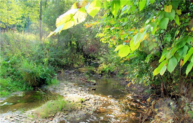 Старицкая Швейцария. Путешествие с Сашей, продолжение. Уникальная кукла от Сильвии Наттерер