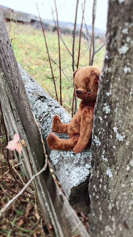 Авторский мишутка и куколки ГДР (фото 3)