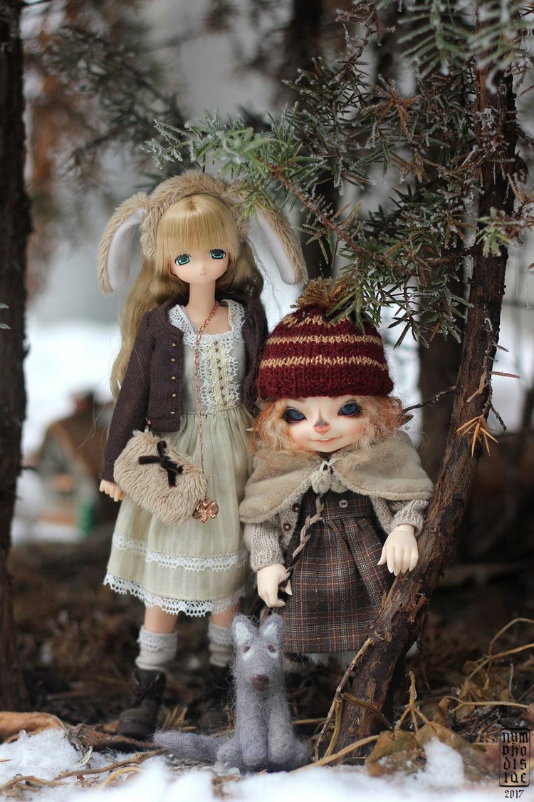 Зимние прогулки с Корицей, Мией и Волчком