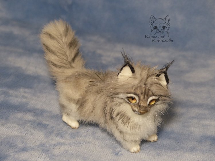 Мейн-ку́н, миниатюра. Серебристый окрас (фото 4)