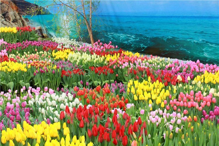 Тюльпановый Рай, продолжение. Выставка тюльпанов в Твери. Mini Layla elf Sunkissed skin от Kaye Wiggs