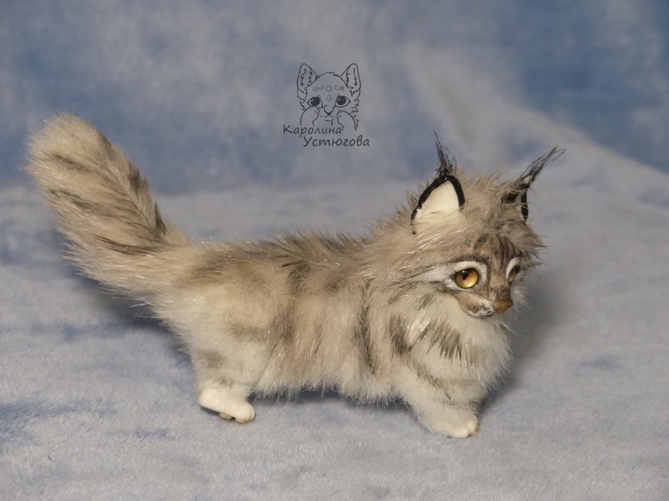 Мейн-ку́н, миниатюра. Серебристый окрас (фото 3)