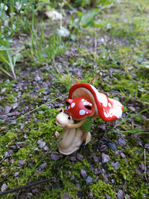 Wonderfrog. Красота в простоте