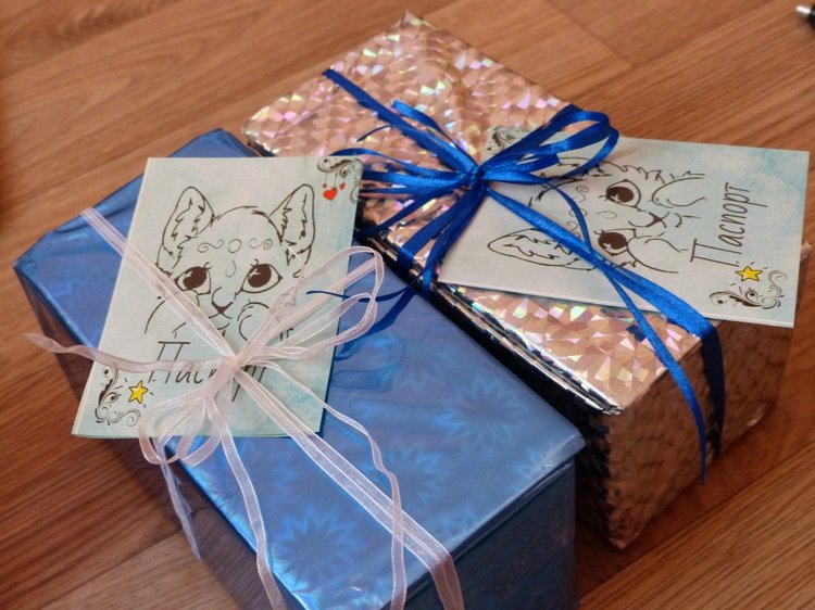 Новогодняя упаковка, провожаем в путь зверяток. Разные фотографии