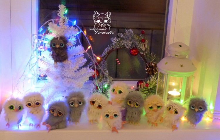 Совята в ожидании Новогодних праздников