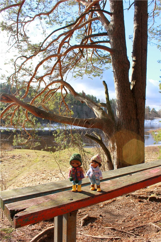 Тверской "Луксор" — Куклы Meadow dolls (Медовушки): BJD (БЖД)