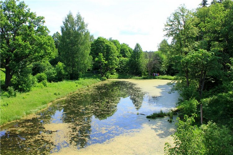 "Троицкие гуляния" в Василёво, 2019 год, заключительная часть. Архитектурно-этнографический музей под открытым небом Василёво