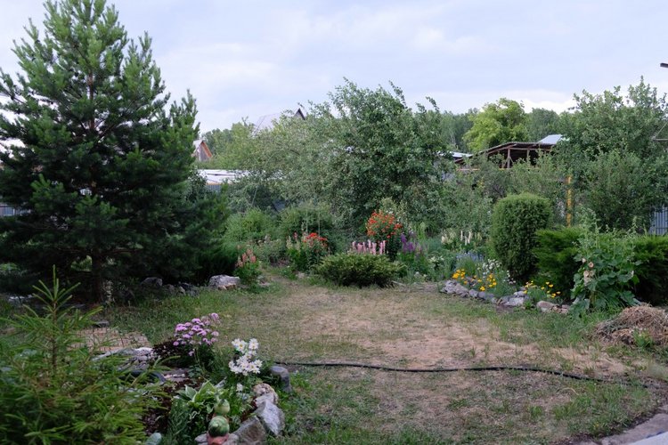 Прогулки с Сарой и Беллой RubiRed Galleria/Effner (фото 9)