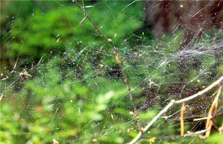 Путешествие Эли на красивый берег реки Волги