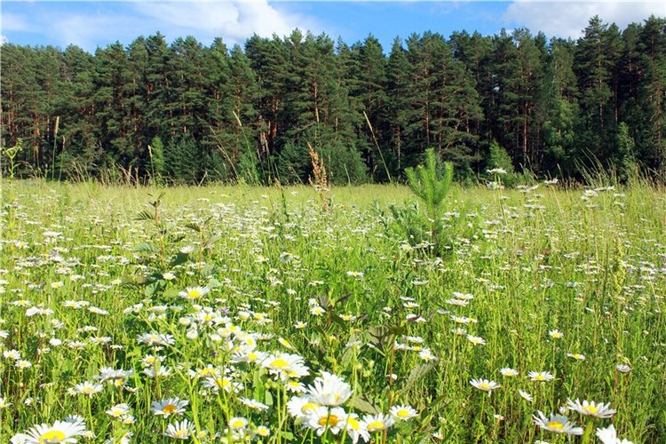 Путешествие Эли на красивый берег реки Волги