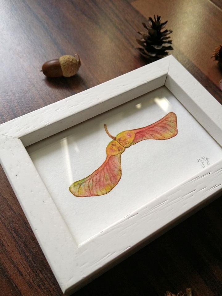 SnailMaidenStudio - Акварельные иллюстрации маленьких живых существ