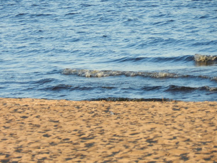 Немного позитива с Финского залива