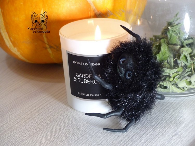 Halloween и маленькие паучки