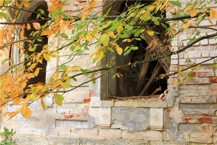 Путешествие Dal Hangry в Грузины, продолжение