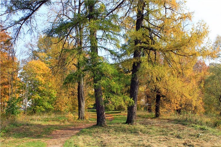 Путешествие Dal Hangry в Грузины
