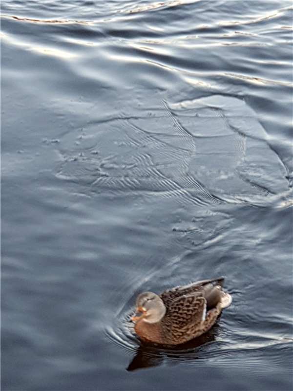 Декабрьская Тверь — Туризм и путешествия: фотоотчеты из поездок