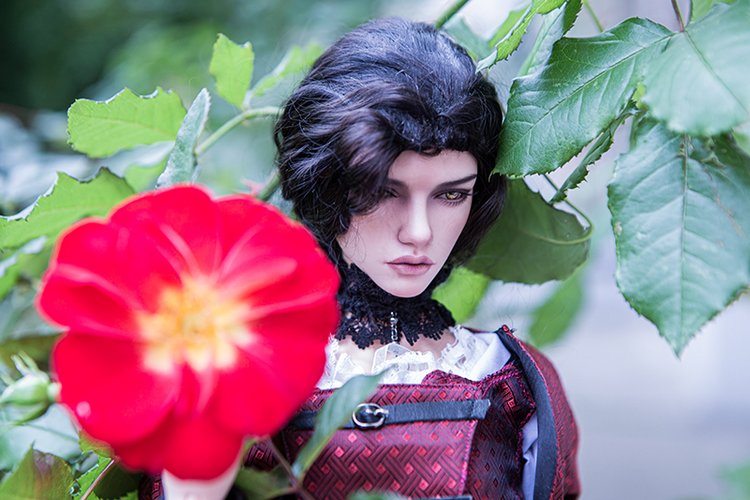 Новое платье для Капитана (фото 5)