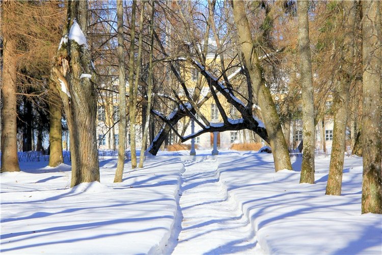 Снежный Март — Туризм и путешествия: фотоотчеты из поездок