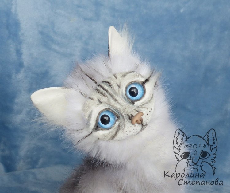 Невские Маскарадные коты серебристого окраса и Совята (фото 9)