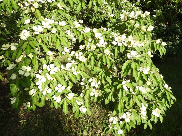 Краснодарский Край, Сочи-Адлер, Санаторий «Южное Взморье»