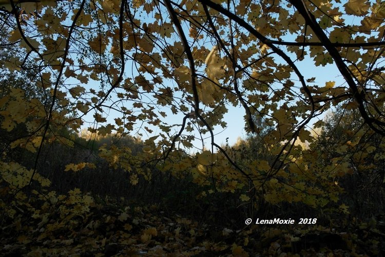 Прощание с теплой Осенью — Куклы Kidz'n'Cats (Соня Хартман): шарнирные 46 см